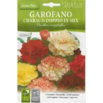 Hortus Carnation Seeds – Garofano Chabaud Doppio in Mix – Home Growing Seeds