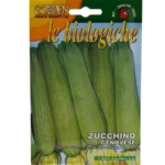 Zucchino Genovese Seeds – Grow Organic & Delicious Zucchini – Home Growing Seeds