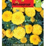 Agrimaxgroup Marigold Yellow Seeds (Ag1004) – Bright Blooms for Gardens & Landscapes – Home Growing Seeds