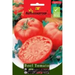 High-Yield Beef Tomato Home Growing Seeds