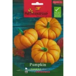 High-Yield Pumpkin Seeds – Perfect for Large, Vibrant Pumpkins – Home Growing Seeds