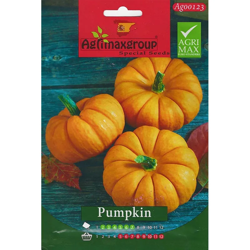 high-yield-pumpkin-seeds.webp High-Yield Pumpkin Seeds – Perfect for Large, Vibrant Pumpkins – Home Growing Seeds - Image 1