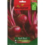 High-Yield Red Beet Seeds – Grow Nutritious Beetroots Easily – Home Growing Seeds