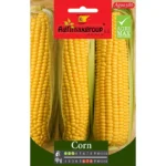 High-Yield Sweet Corn Seeds – Grow Juicy, Flavorful Corn at Home – Home Growing Seeds