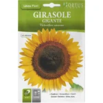 Hortus Sunflower Seeds – Giant, Bright, and Easy to Grow – Home Growing Seeds