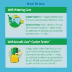Miracle-Gro Miracid Acid-Loving Plant Food – Water Soluble Plant Food - Image 2