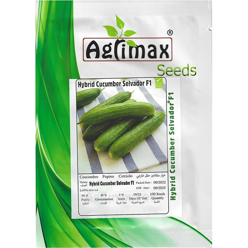 hybrid-cucumber-selvador-f1.webp Hybrid Cucumber Selvador F1 – High-Yielding & Disease-Resistant – Home Growing Seeds - Image 1