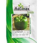 Hybrid Green Pepper General F1 – High Yield & Disease Resistant – Home Growing Seeds