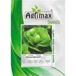Hybrid Lettuce Spain Land F1 – Crisp, Fresh & Fast-Growing – Home Growing Seeds