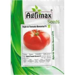 Hybrid Tomato Bavaria F1 – High Yield & Disease Resistant – Home Growing Seeds