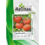 Hybrid Tomato Dayana F1 – High-Yield & Disease Resistant – Home Growing Seeds