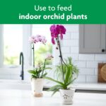 Miracle-Gro Orchid Plant Food Mist – Liquid Plant Nutrition - Image 5
