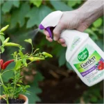 Garden Safe Insect Killer – Kills Garden Pests on Contact – Pest - Image 3