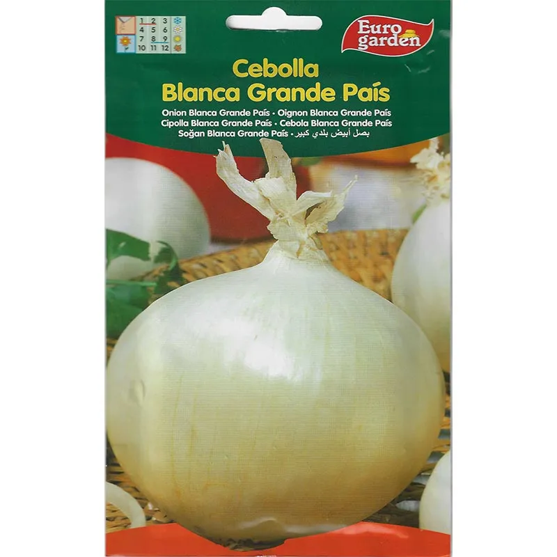 large-country-white-onion.webp Euro Garden Large Country White Onion Quality Home Growing Seeds - Image 1
