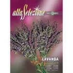Alta Selezione Aster Nano Multicolor Quality Home Growing Seeds