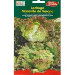 Lettuce Summer Marvel Seeds – Grow Fresh & Crisp Lettuce – Home Growing Seeds
