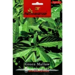 Agrimaxgroup Green Mallow Seeds (Ag0187) – Home Growing Seeds