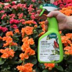 Organic Fungicide Spray – Fungus & Disease - Image 2