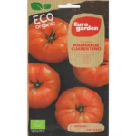 Eco Organic Marmande Cuarenteno Tomato Seeds – Juicy & Flavorful – Home Growing Seeds