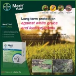Merit Turf Insecticide for Lawns, Gardens, and Sports Zones – 1kg – Pest - Image 2