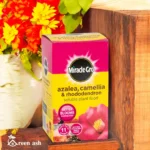 Miracle-Gro Azalea, Camellia & Rhododendron Soluble Plant Food (1kg) – Water Soluble Plant Food