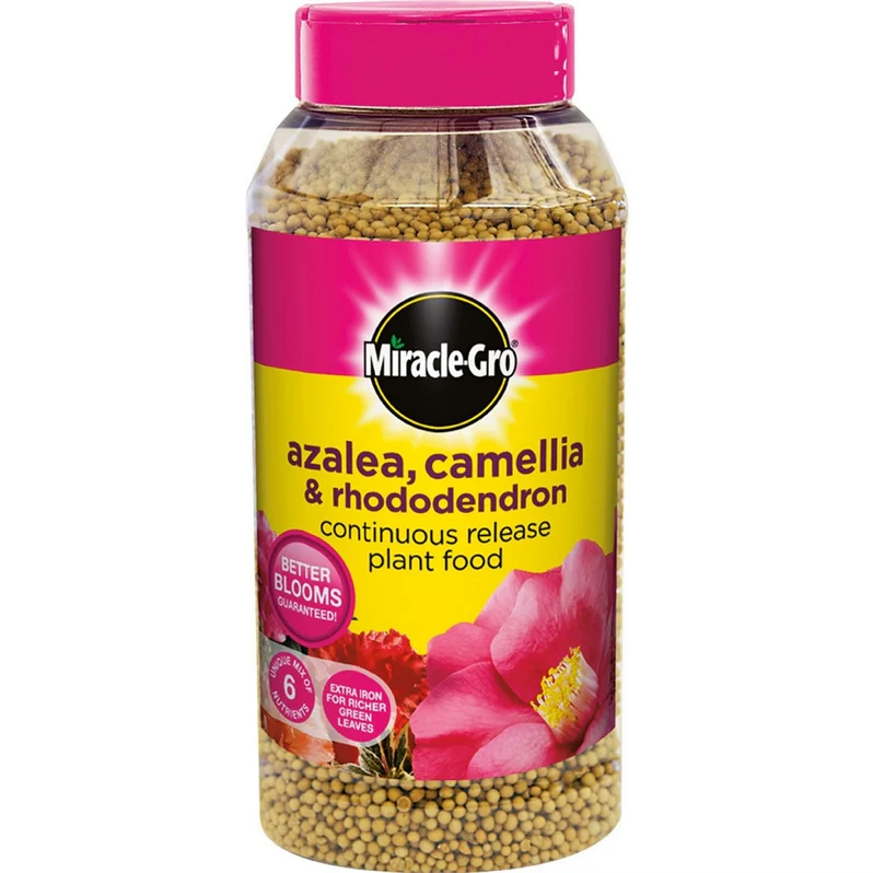 miracle-gro-ericaceous-continuous-release-plant-food-1kg-.webp Miracle-Gro Azalea & Camellia Plant Food | Premium Granular Fertilizer for Acid-Loving Plants, Rich Blooms & Healthy Roots - Image 1
