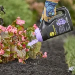 Miracle-Gro Performance Organics Blooms Plant Nutrition Granules 5-7-10 – Granular Plant Nutrition - Image 3