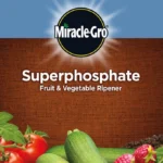 Superphosphate Fertilizer Miracle-Gro Fruit & Vegetable Ripener 1.5kg – Plant Nutrition Fertilizer