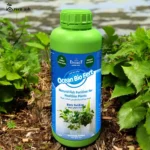 Ocean Bio Fert – Natural Fish Fertilizer for Healthy Plants – Liquid Plant Nutrition