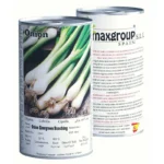 Onion Evergreen Bunching Seeds – High Germination & Quality – Home Growing Seeds