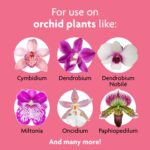 Miracle-Gro Orchid Plant Food Mist – Liquid Plant Nutrition - Image 4