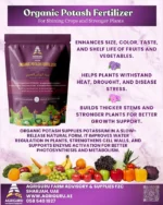Organic Potash Fertilizer – 100% Natural Potassium for Flowering & Fruiting (1kg) – Water Soluble Plant Food - Image 2