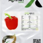 Agrimax Pepper Aseel F1 Seeds – High-Yield Hybrid Variety – Home Growing Seeds