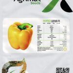 Agrimax Pepper Lotus Yellow F1 Seeds – High-Yield Hybrid Variety – Home Growing Seeds