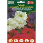 Euro Garden Petunia Dwarf Mix – Home Growing Seeds