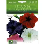 Hortus Petunia Mix Seeds – Grandiflora in Vibrant Colors – Home Growing Seeds