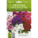 Hortus Petunia Mix Seeds – Ibrida Nana in Vibrant Colors – Home Growing Seeds