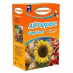 Phostrogen All Purpose Plant Food – 240 Cans Pack – Water Soluble Plant Food