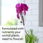 Miracle-Gro Water Soluble Orchid Food 30-10-10 – Water Soluble Plant Food - Image 2