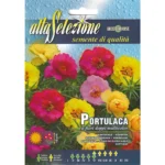Portulaca Multicolor Double Flower Seeds – Vibrant Summer Blooms – Home Growing Seeds