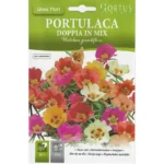 Hortus Moss Rose Mix Seeds – Portulaca Doppia in Vibrant Colors – Home Growing Seeds