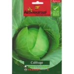 Cabbage Seeds – Grow Fresh, Nutritious Cabbage at Home – Home Growing Seeds