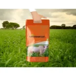 Mombasa Grass Seeds – Fast-Growing, Dense Green Pasture – Home Growing Seeds