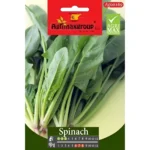Spinach Home Growing Seeds