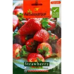 Strawberry Seeds – Grow Sweet, Juicy Strawberries at Home – Home Growing Seeds