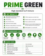 Prime Green Grass Seed Mix (1kg) – Home Growing Seeds - Image 3
