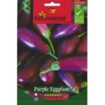 Purple Eggplant Home Growing Seeds