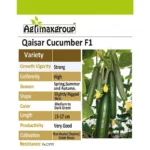 Qaysar F1 Hybrid Cucumber Seeds – High-Yield and Disease-Resistant – Home Growing Seeds - Image 2