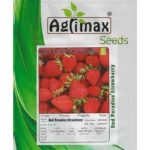 Red Paradise Strawberry – High-Yield, Sweet & Juicy Berries – Home Growing Seeds