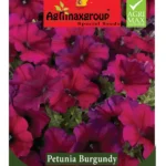 Agrimaxgroup Petunia Burgundy Seeds (Ag1013) – Home Growing Seeds